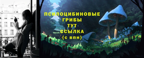 2c-b Няндома