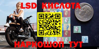 твердый Заводоуковск