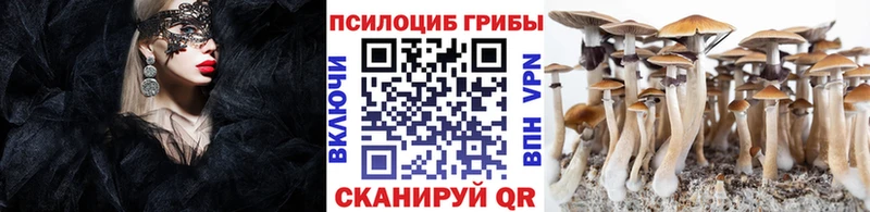 что такое наркотик  Тобольск  Галлюциногенные грибы Magic Shrooms 