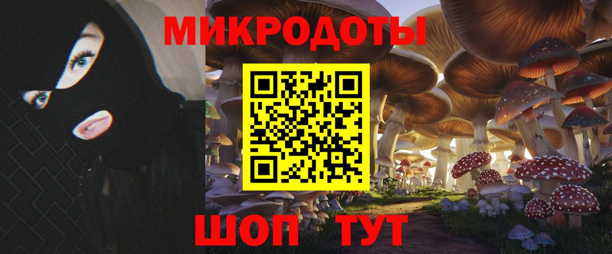 Псилоцибиновые грибы Psilocybine cubensis Тобольск